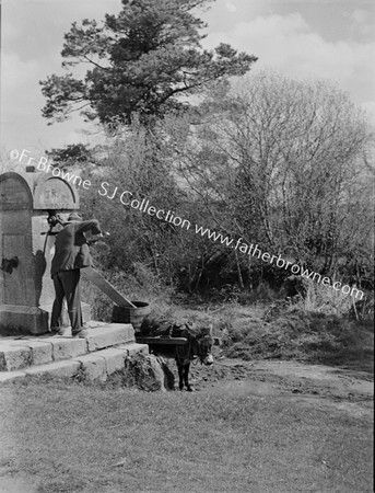 VILLAGE PUMP WITH FARMER, DONKEY AND CART